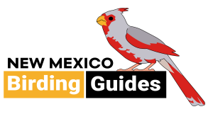 New Mexico Birding Guides