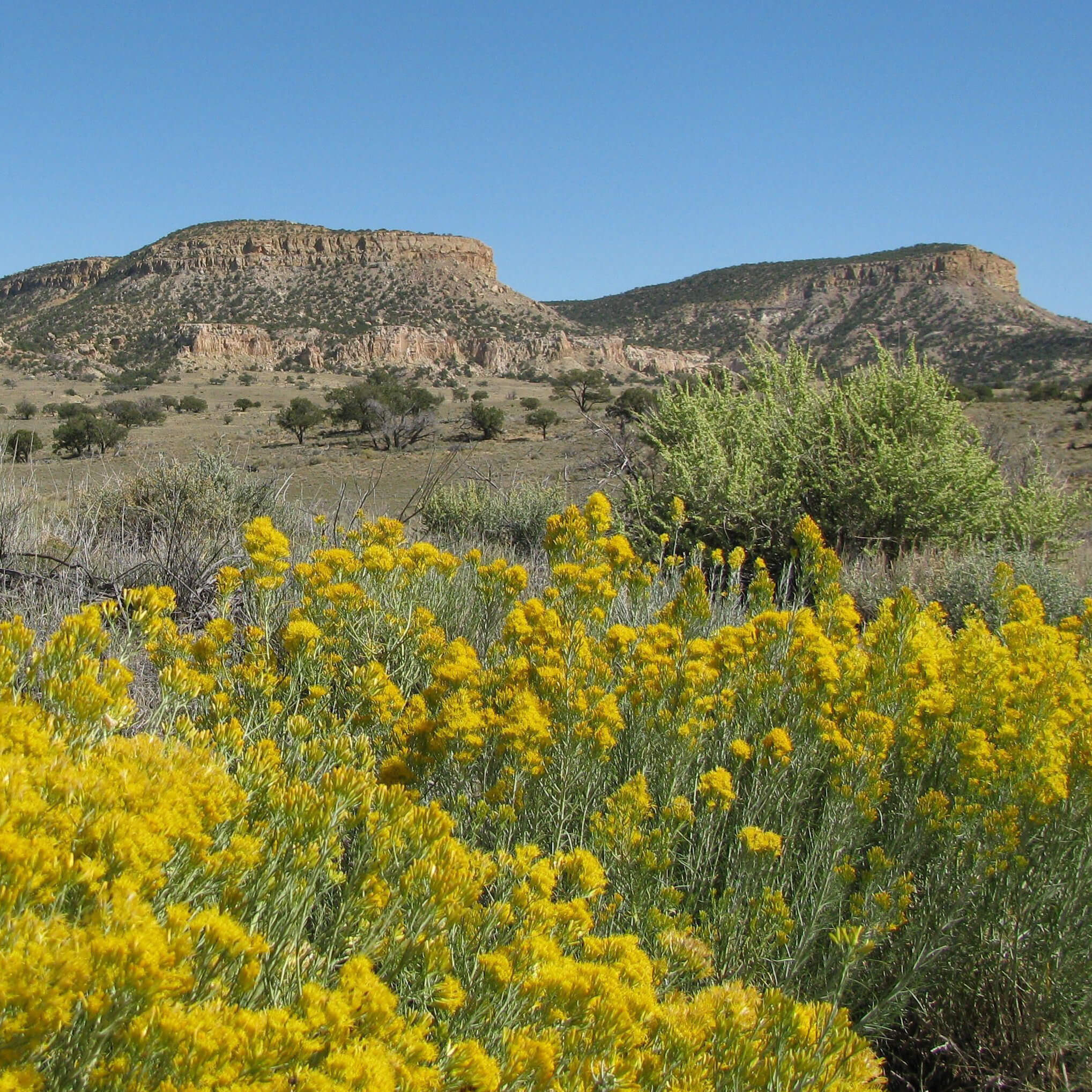 new mexico 4926895 fotor 2024082972646 2